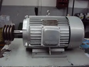 Electric Motor