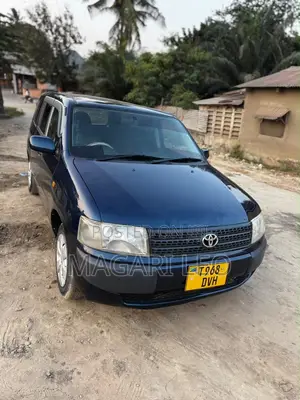 Toyota Probox 1.3 DX 2WD 2005 Blue