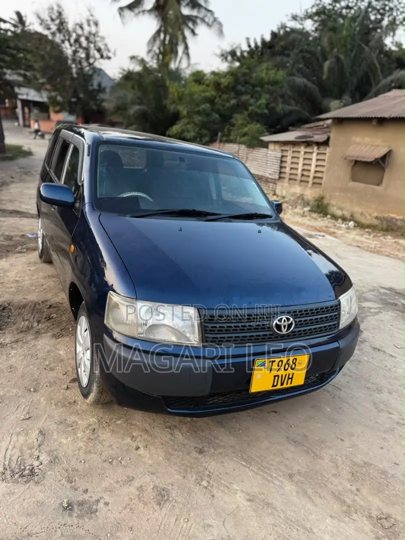 Toyota Probox 1.3 DX 2WD 2005 Blue