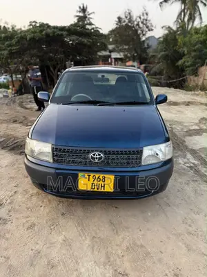 Toyota Probox 1.3 DX 2WD 2005 Blue