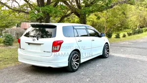 Toyota Corolla Fielder 2010 White