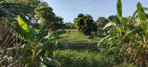 Beach Plot Pangani Town Tanga for Sale.