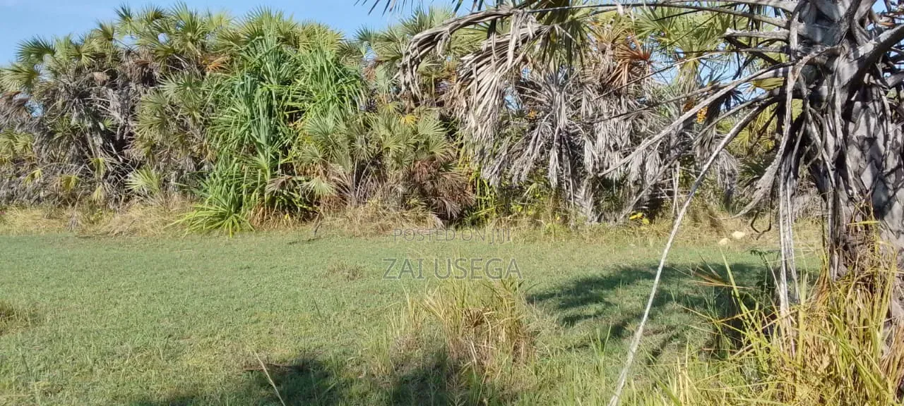 Beach Plot Pangani Town Tanga for Sale.