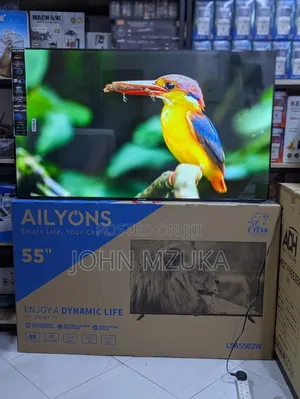 TV Inchi 55 Double Glass Ailyons ,