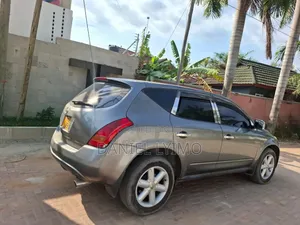 Nissan Murano 2005 Silver