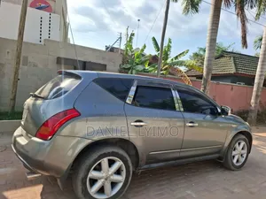 Nissan Murano 2005 Silver