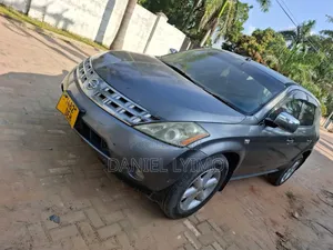 Nissan Murano 2005 Silver