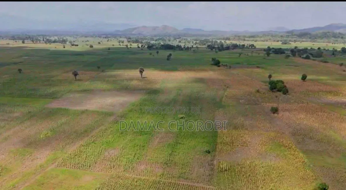Shamba Kubwa Linauzwa Mkuranga