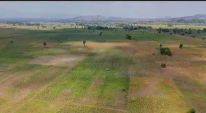 Shamba Kubwa Linauzwa Mkuranga