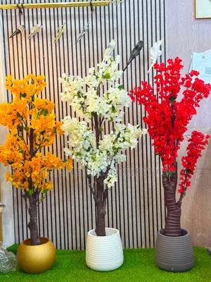New Arrivals Maua