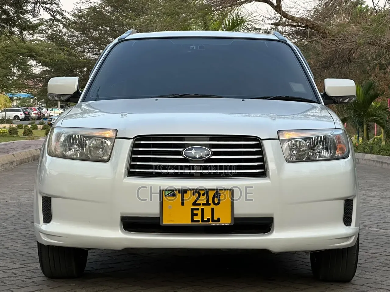 Subaru Forester 2006 Pearl