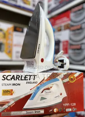 *Steam Iron