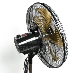*Standing Fan