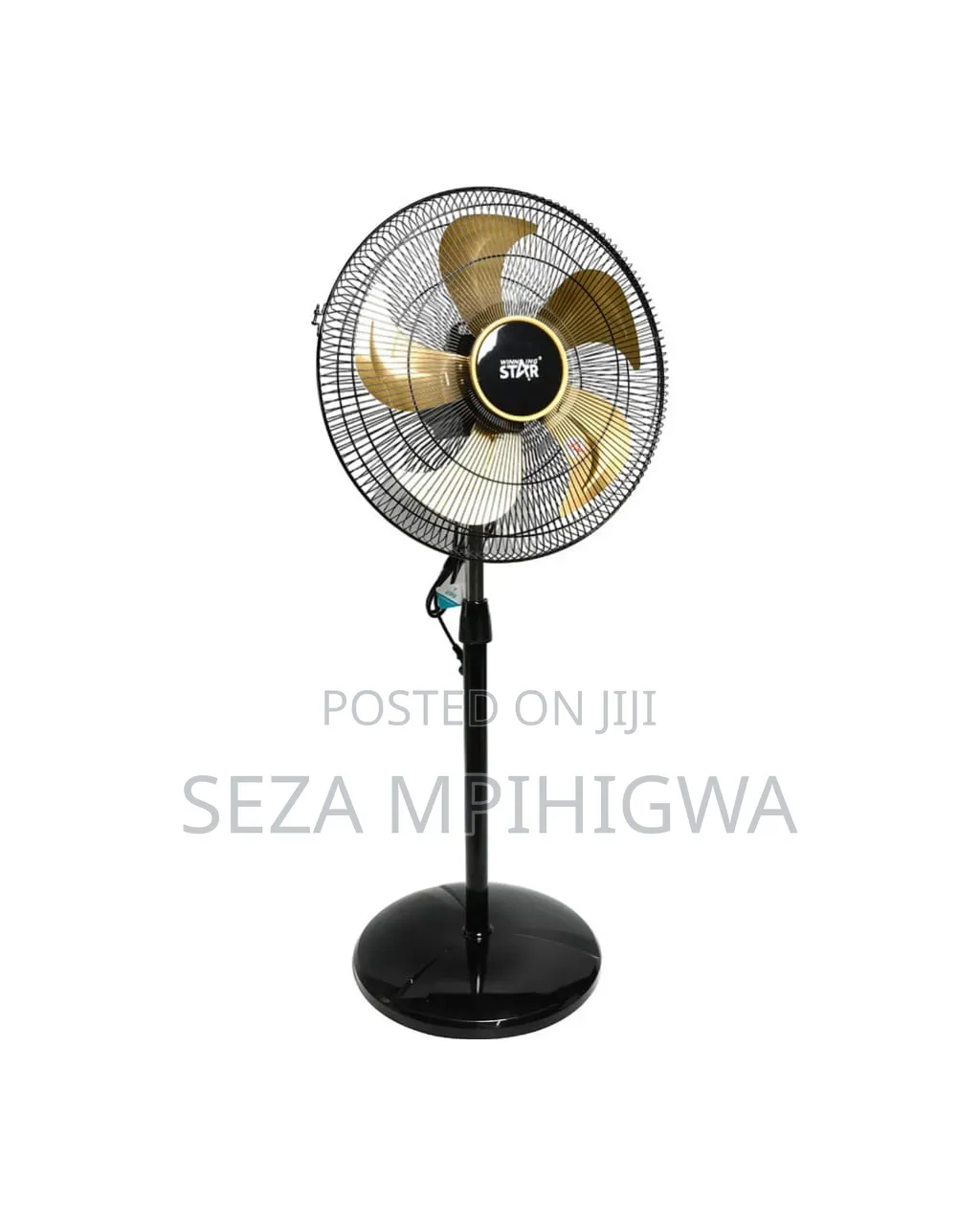 *Standing Fan