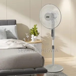 *Standing Fan