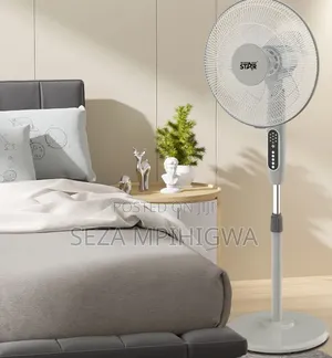 *Standing Fan