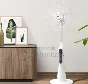 *Standing Fan
