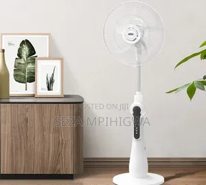 *Standing Fan