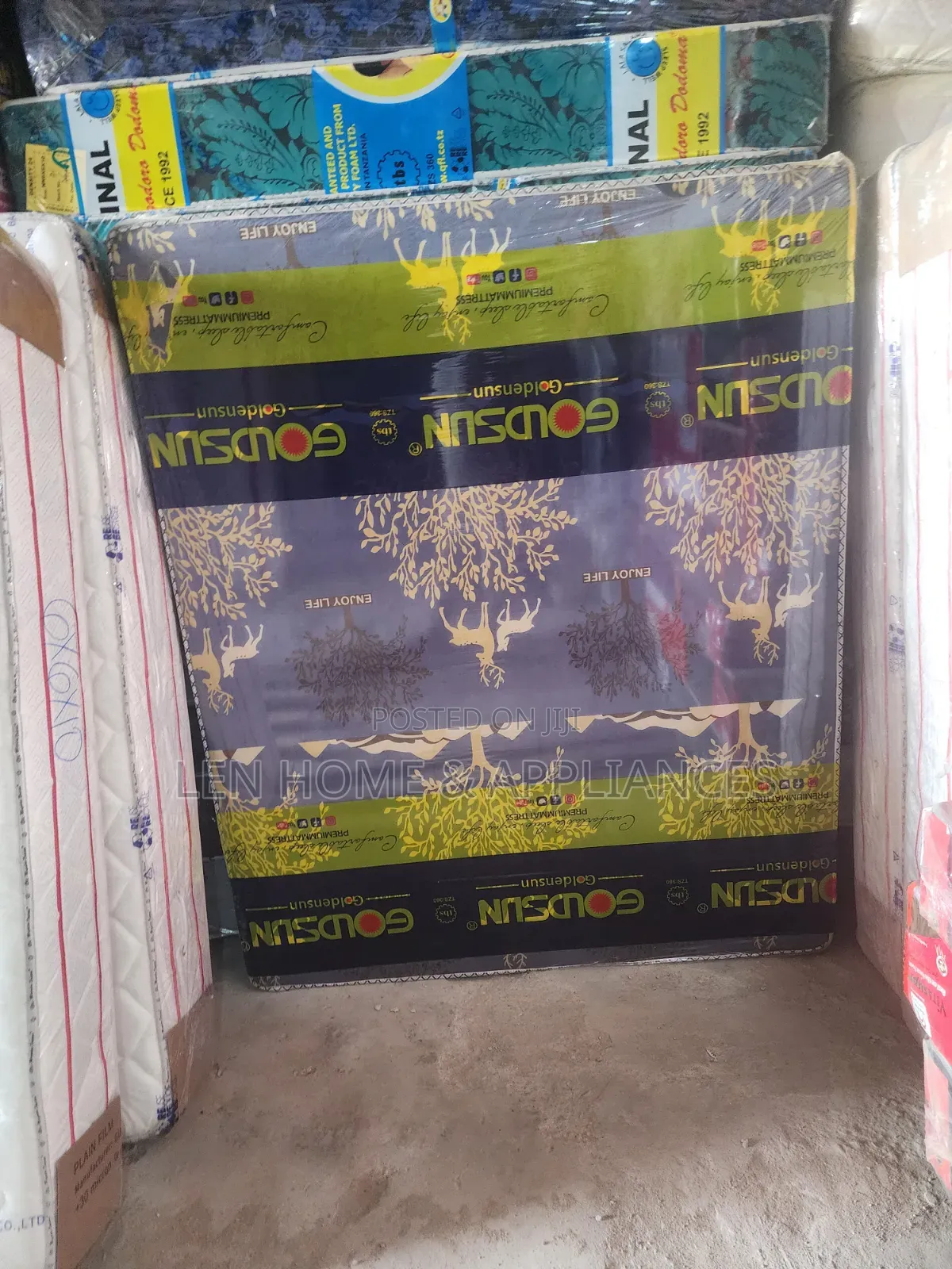 Magodoro Ya Goldsun Inch8