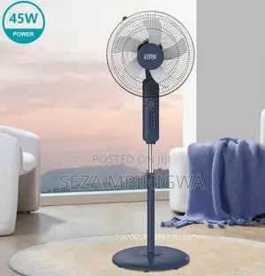 *Standing Fan