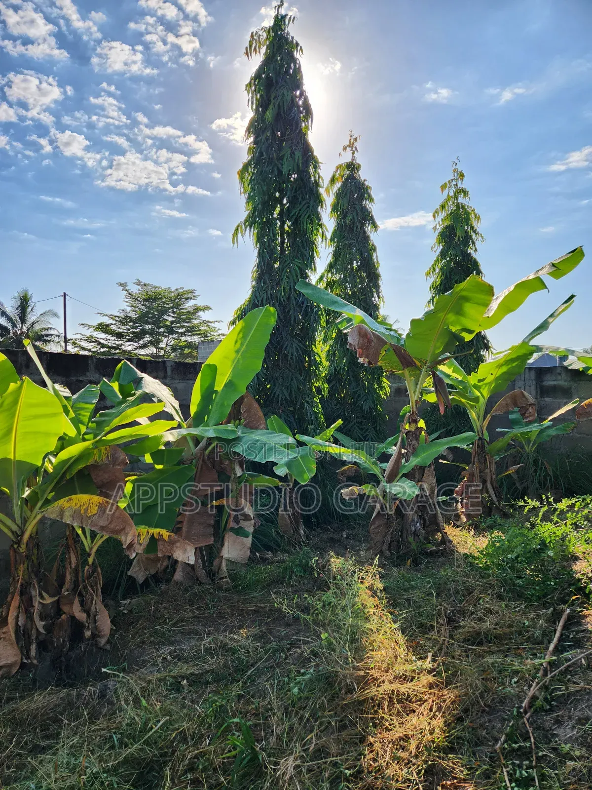3bdrm Mansion in Pugu for sale