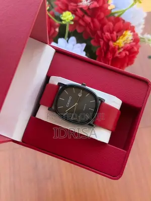 Casio Watch