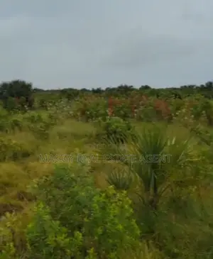 Plots Near Beach for Sale, Mapinga Bagamoyo