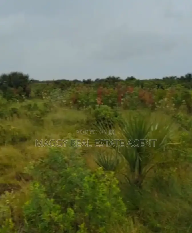 Plots Near Beach for Sale, Mapinga Bagamoyo