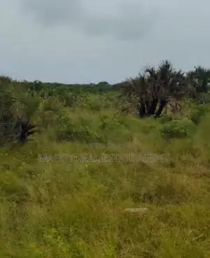 Plots Near Beach for Sale, Mapinga Bagamoyo