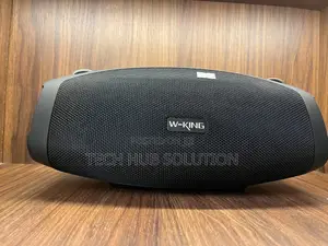 W-King X10 Outdoor Bluetooth Speaker