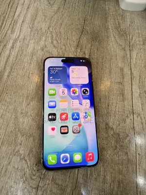 Apple iPhone 15 Pro Max 256 GB