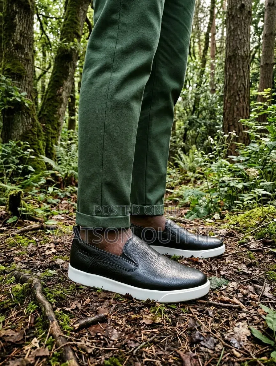 2 Colours Ecco Brand Leather Materials Pure and Original Men's Shoes