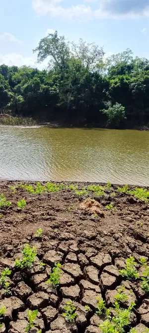 Shamba Kiwangwa Bagamoyo