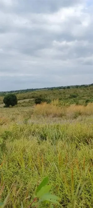 Shamba Kiwangwa Bagamoyo