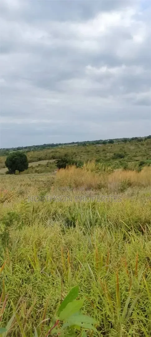 Shamba Kiwangwa Bagamoyo