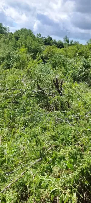 Shamba Kiwangwa Bagamoyo