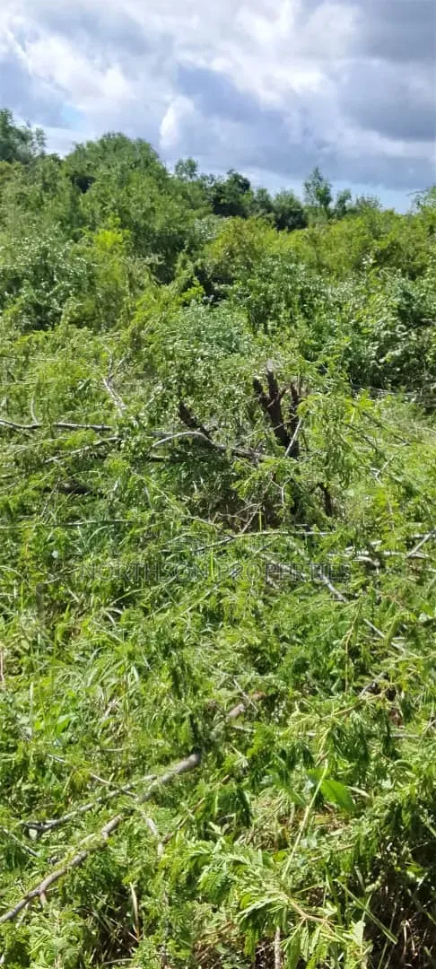 Shamba Kiwangwa Bagamoyo
