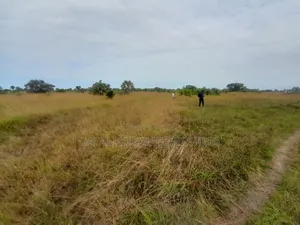 Kiwanja Kinauzwa Kikigamboni Cheka