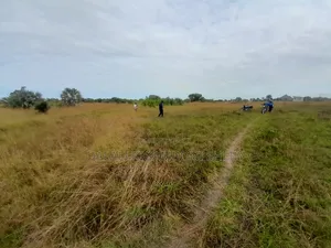 Kiwanja Kinauzwa Kikigamboni Cheka