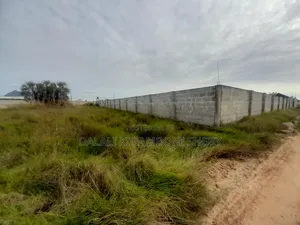 Kiwanja Kinauzwa Kigamboni Cheka