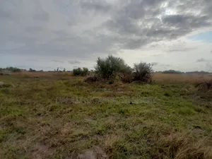 Kiwanja Kinauzwa Kigamboni Cheka