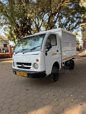 Tata Ace 2013 White