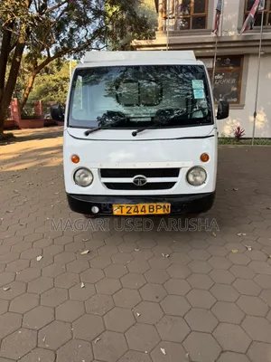 Tata Ace 2013 White