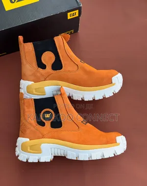 Orange Cat Boot