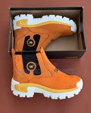 Orange Cat Boot