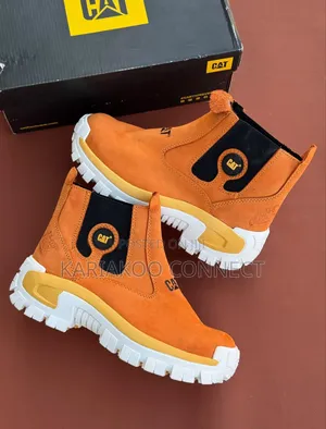 Orange Cat Boot