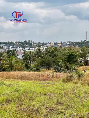 Viwanja Vizuri Vinauzwa Goba Muungano-Tsh140,000 Kwa SQM