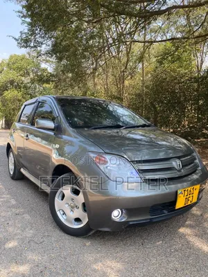 Toyota IST 2004 Gray