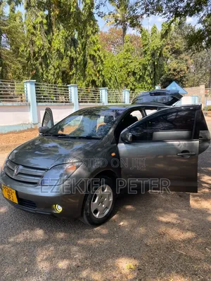 Toyota IST 2004 Gray