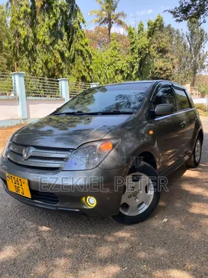Toyota IST 2004 Gray